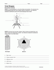 Viral Shapes - Science Printable (6th-12th Grade ...